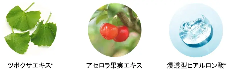 7/1(火)　数量限定発売　涼しい顔してエイジングケア*清涼感まとう夏肌へ「シーボン クールスキンシリーズ」 画像 4