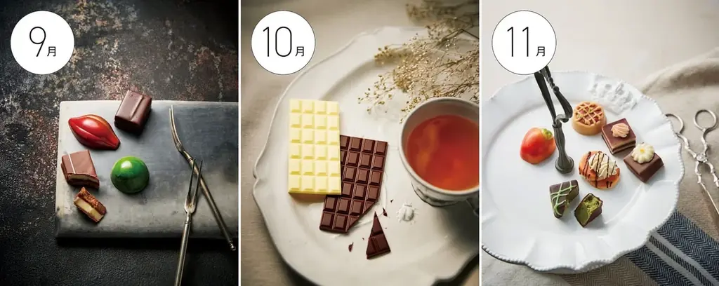 唯一無二のセレクトで多様性あふれるチョコをおうちで楽しめる「幸福のチョコレート®」国内編6ヵ月コース予約受け付け中！至福のチョコレート体験で、次のバレンタインには「自分の好き」を選べる自分に。 画像 2