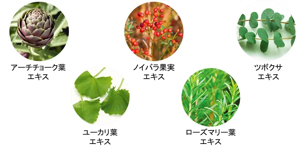 7/1(火)　数量限定発売　大人の毛穴悩みに一直線「シーボン SPMDマスク」 画像 2