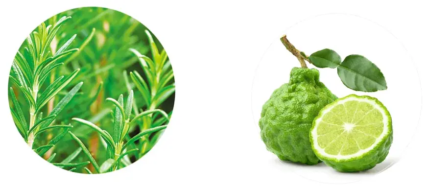 7/1(火)　数量限定発売　大人の毛穴悩みに一直線「シーボン SPMDマスク」 画像 5