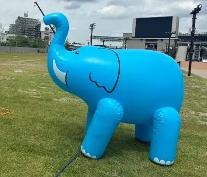 船橋ケイバ 第4回開催〔6月30日（月）・7月3日（木）～7月6日（日）〕第４回はＴＣＫとの協同開催！ 画像 8