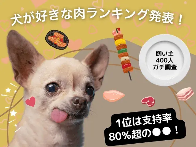 2025年6月調査：犬が好きな肉ランキング1位は鶏肉に決定！