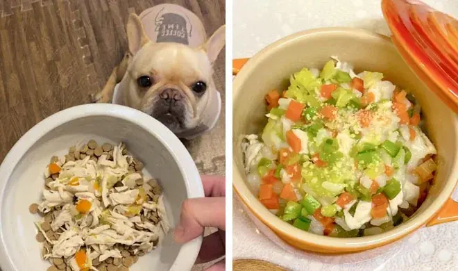 アニコムのペット特化型マーケティングリサーチサービス『ani voice』モニター登録者数が20,000人を突破！ペット共生社会へのさらなる価値提供へ 画像 5