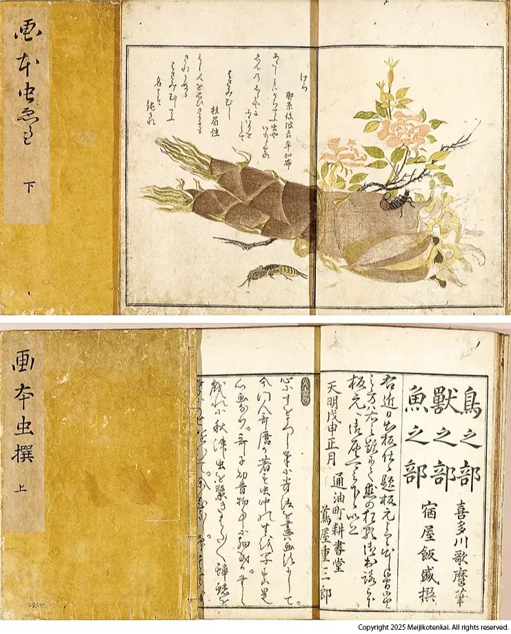 古今東西の文化資料が大集結！国内で最も歴史のある古書オークション「明治古典会 七夕古書大入札会」を今年も開催いたします。 画像 2