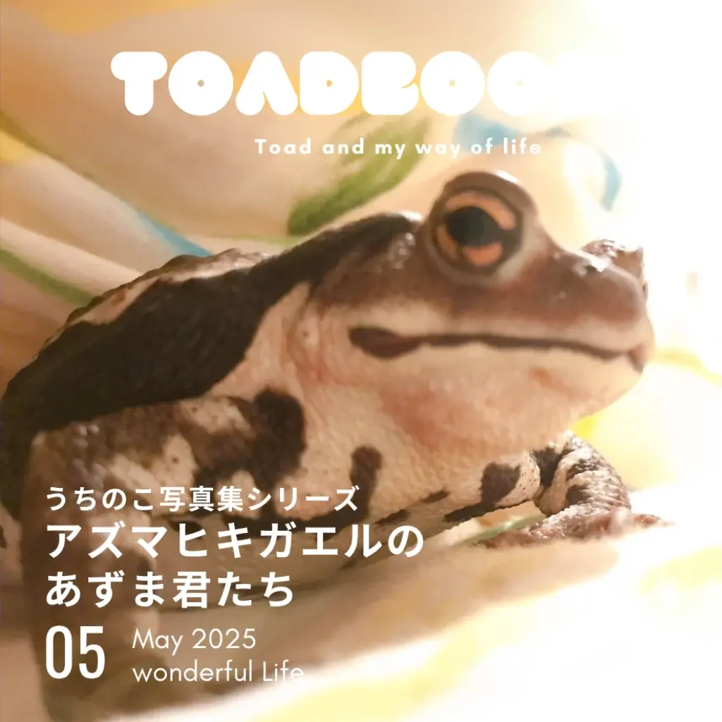 2025年5月25日発売『アズマヒキガエルのあずま君たち』電子書籍版の魅力