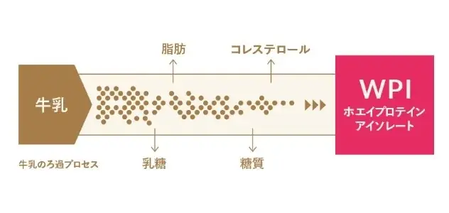 WPIを100%使用した『CLEVER(クレバー)』から新登場!「クレバー クリアホエイ(プロテイン) クエン酸ビタミンCプラス」 画像 2