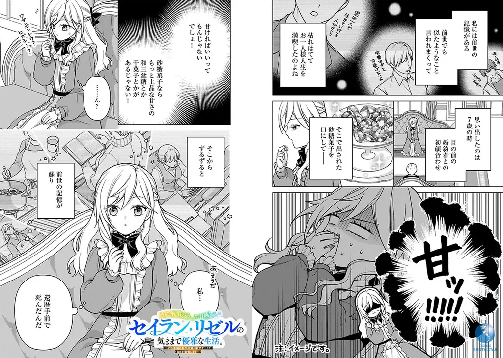 ＜新連載＞『婚約解消のち、お引越し。セイラン・リゼルの気ままで優雅な生活。～才色兼備の転生令嬢は前世チートで自由を満喫します～』6月26日(木)18時よりスタート！ 画像 3