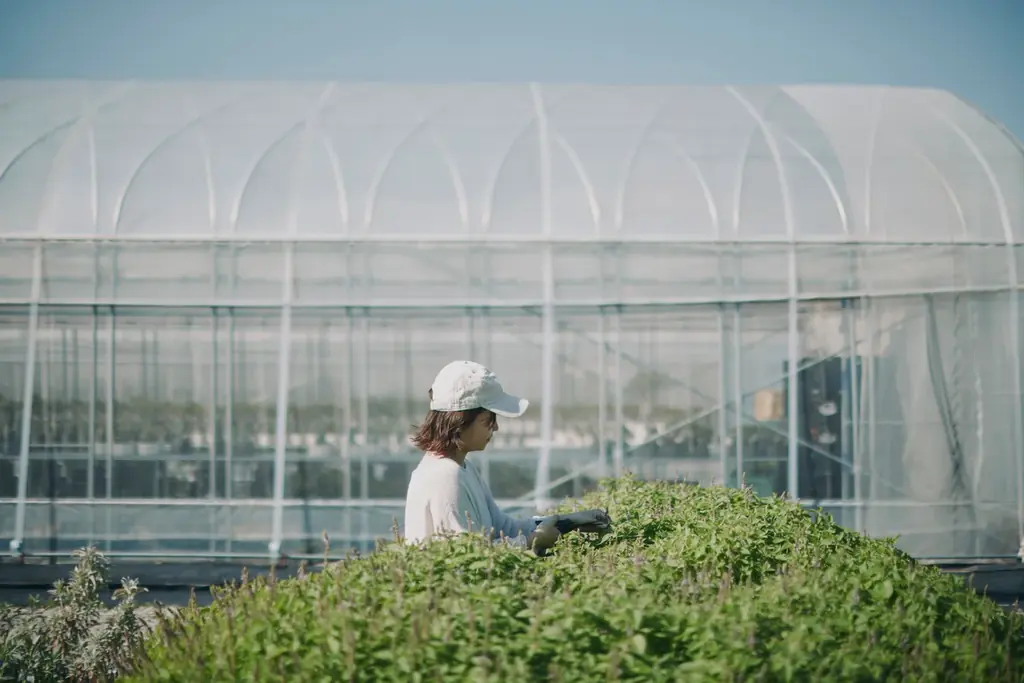 自社農園のハーブからつくる、香り豊かなハーバルティーを発売 画像 3