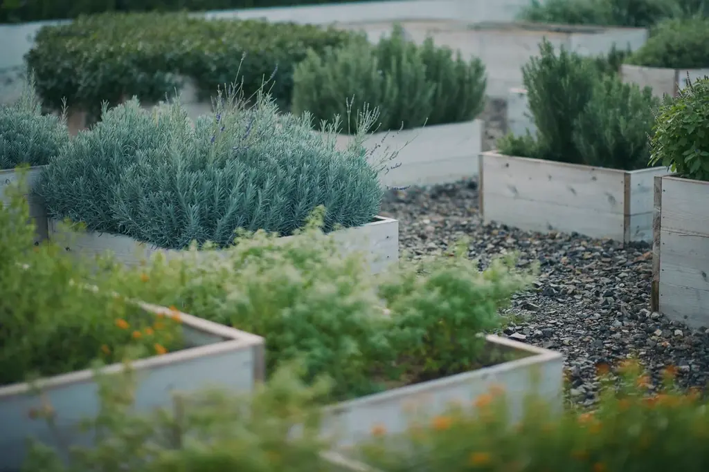 自社農園のハーブからつくる、香り豊かなハーバルティーを発売 画像 9