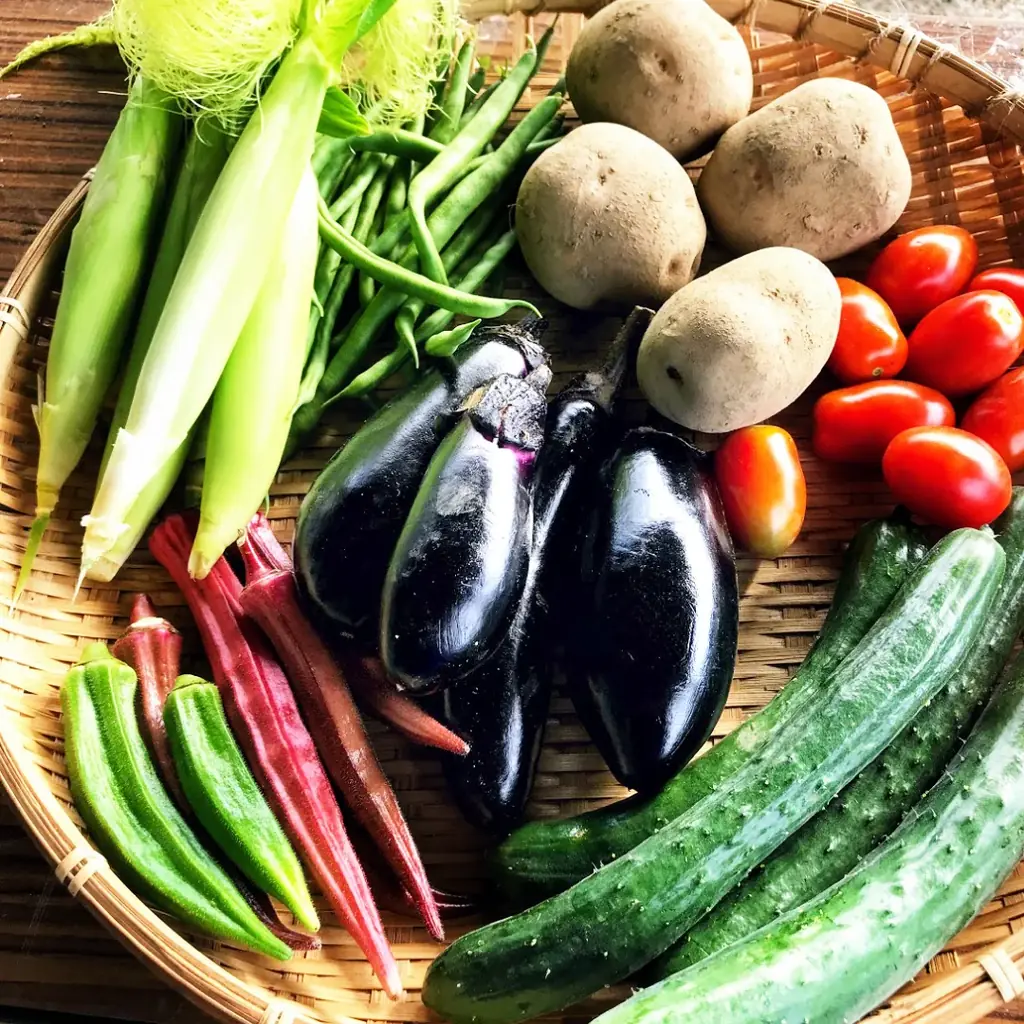 富士山麓の自然が育む、極上のオーガニック野菜をあなたの食卓に。『わっぱファーム・6種のお野菜セット』新発売！〈産地直送定期便〉も同時スタート 画像 4