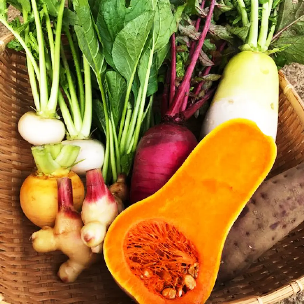 富士山麓の自然が育む、極上のオーガニック野菜をあなたの食卓に。『わっぱファーム・6種のお野菜セット』新発売！〈産地直送定期便〉も同時スタート 画像 5