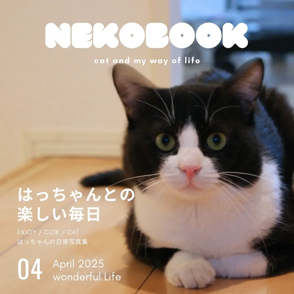 ペットの写真集が簡単に出版できる「うちのこ写真集」紙の書籍に加え電子書籍での販売もスタート 画像 7