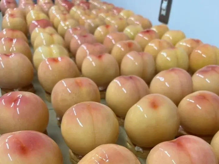 阪急桃の祭典2025