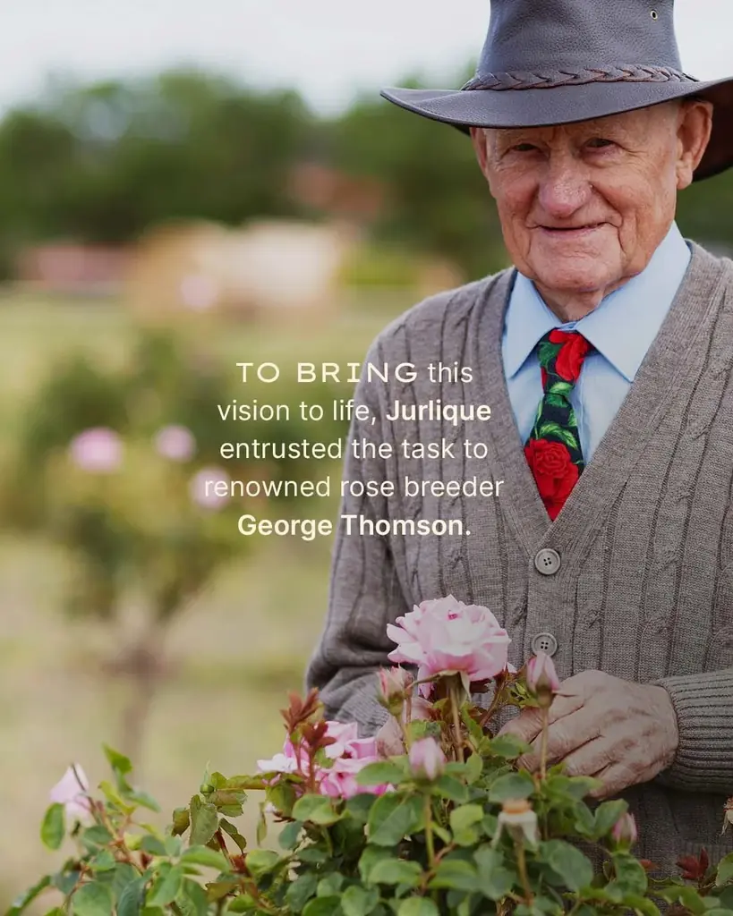 【ジュリーク40周年】2つ目のオリジナルローズを使ったミスト化粧水とハンドクリームを7/1に限定発売！ 画像 6