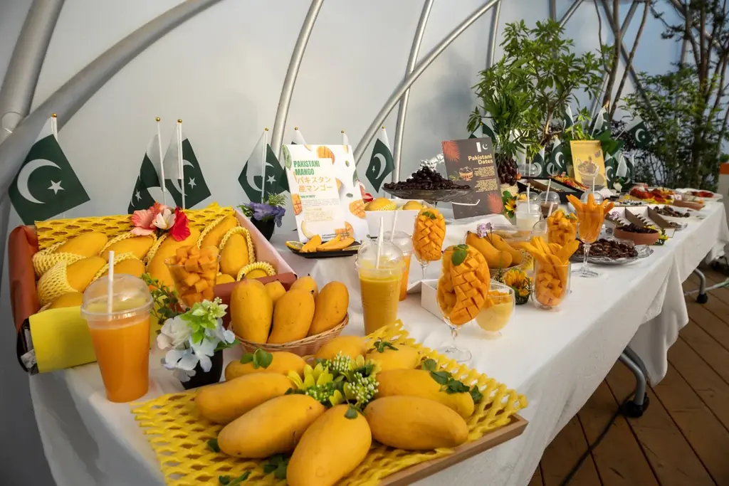 パキスタンの豊かな食文化を味わう4日間のイベント「フレーバーズ・オブ・パキスタン」を大阪・関西万博で華やかに開催 画像 3