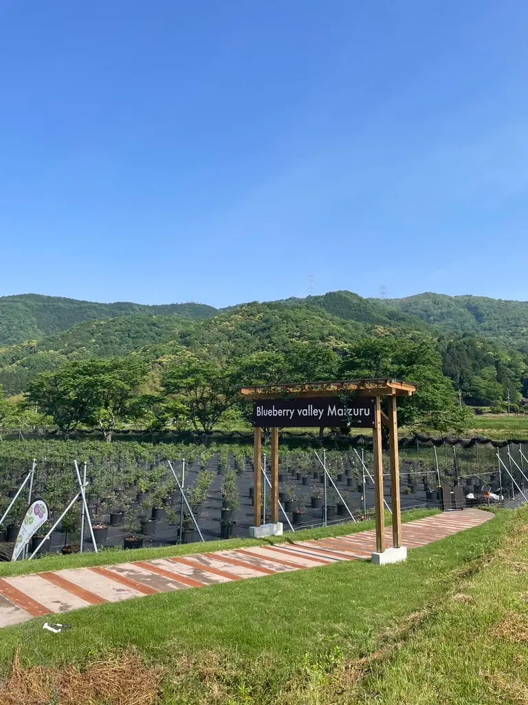 潮風と太陽の恵み。京都・舞鶴から、地域愛あふれるクラフトエールが新登場 画像 4