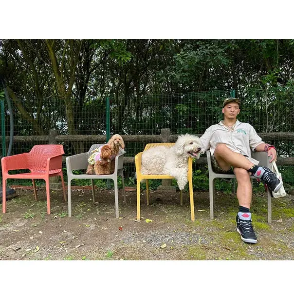 看板犬の写真集を簡単に出版できる「うちのこ写真集」シリーズ第5弾『スタンダードプードルのガホ』の電子書籍版が発売決定! 画像 2