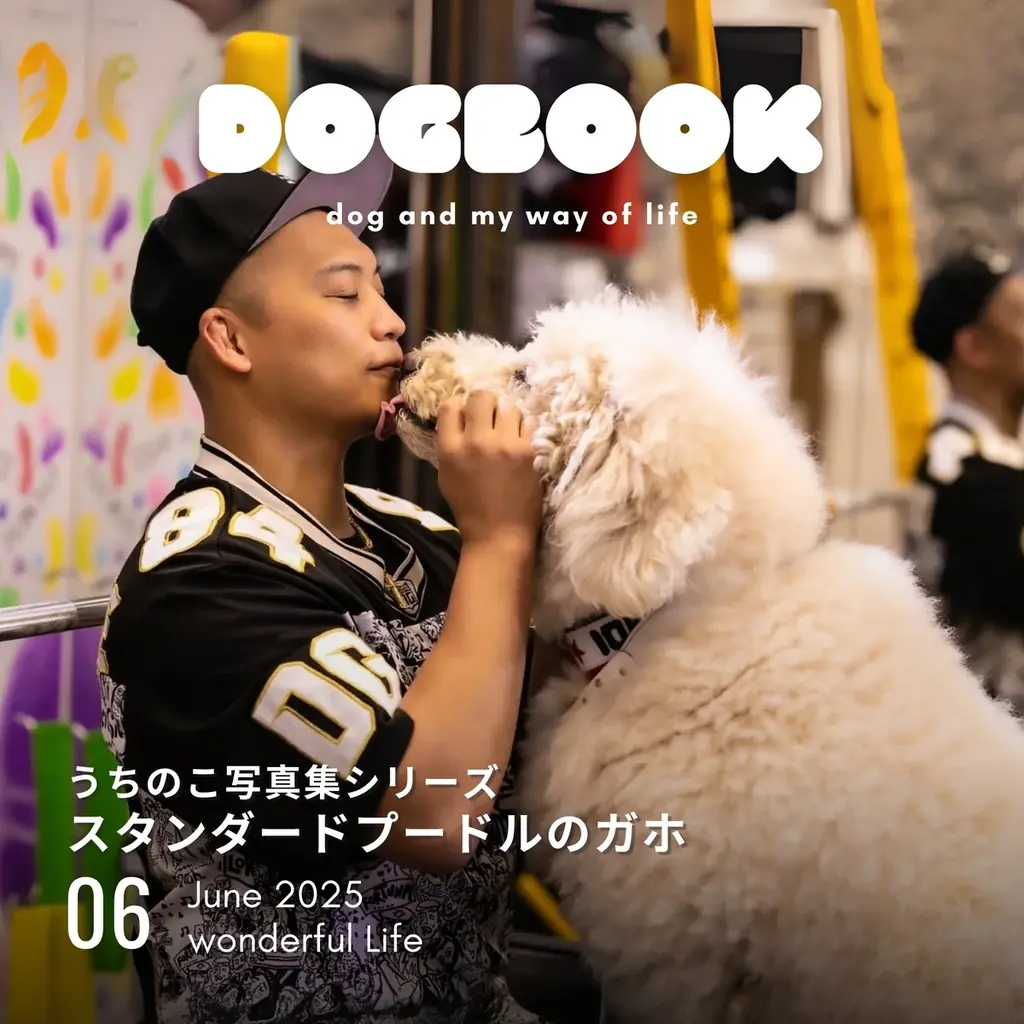 看板犬の写真集を簡単に出版できる「うちのこ写真集」シリーズ第5弾『スタンダードプードルのガホ』の電子書籍版が発売決定！ 画像 9