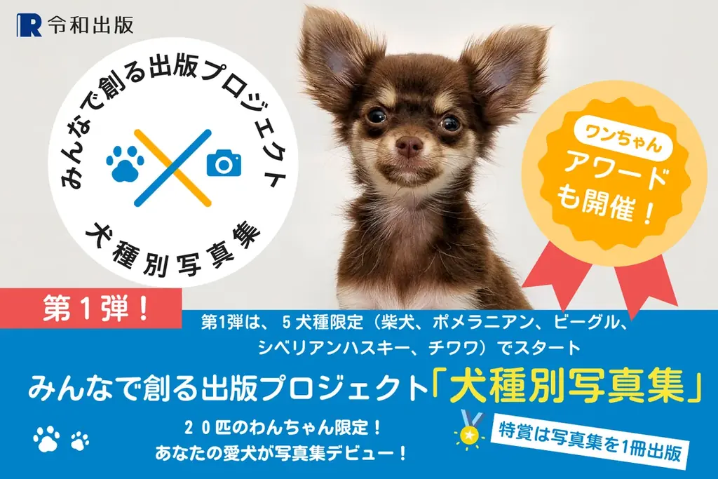 チワワ部門の募集開始！参加費完全無料：2025年度版 みんなでつくる「犬種別写真集」プロジェクト～特賞は愛犬だけの写真集 画像 1