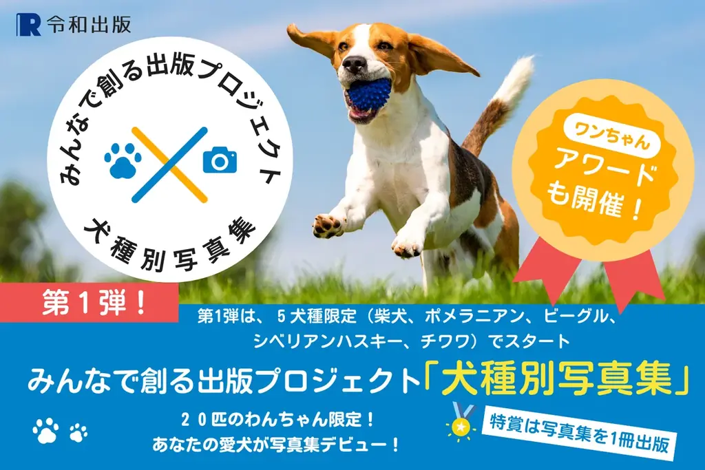 2025年6月28日開始！ビーグル含む犬種別写真集プロジェクト募集