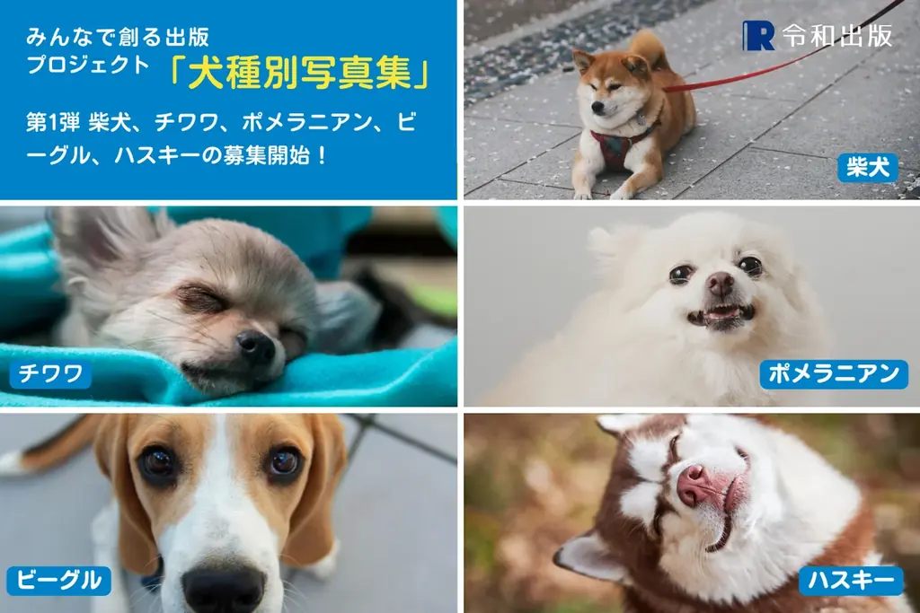 ハスキー部門の募集開始！2025年度版 みんなでつくる「犬種別写真集」プロジェクト～特賞は愛犬だけの写真集～ 画像 2