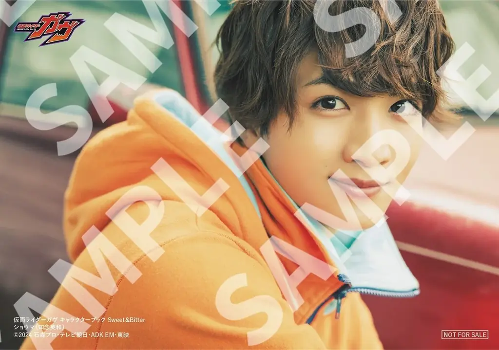 映画公開を控える「仮面ライダーガヴ」から、キャラクターブック第2弾が発売決定！ チームはぴぱれ&ストマック家のSweetでBitterなスペシャル写真を収録 画像 2