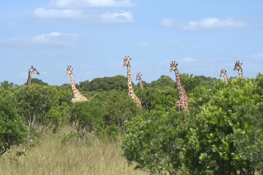 「100のまなざしを通じて伝える」世界一周写真展を開催中。 画像 4