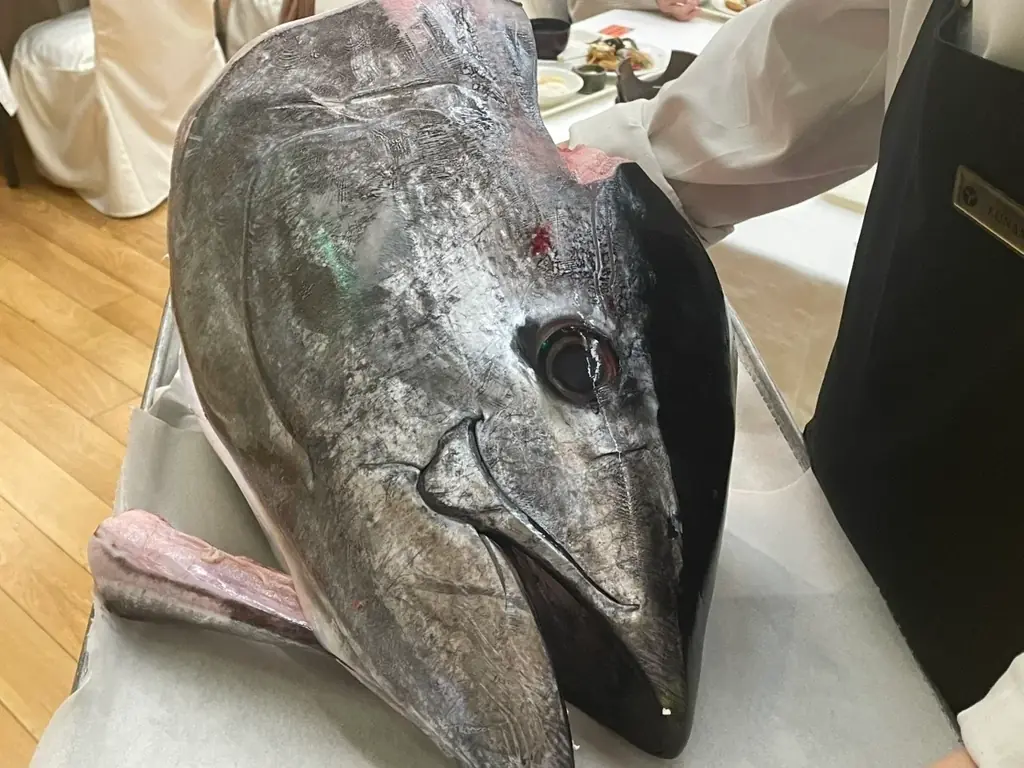 7/12限定！函館湯の川温泉でまぐろ解体ショー開催