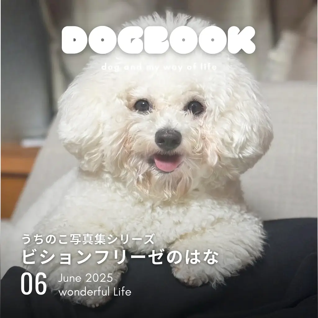 かわいい愛犬のフォトブックが本として残せる「うちのこ写真集」シリーズ第6弾『ビションフリーゼの華子』の電子書籍版が発売決定！ 画像 1