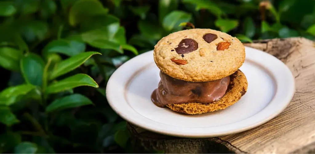 日本発プラントベースアイス「yumrich」とカフェ＆ワインバー「Mary Jane」のコラボレーションメニュー「クッキーアイスサンド」が新登場 画像 1