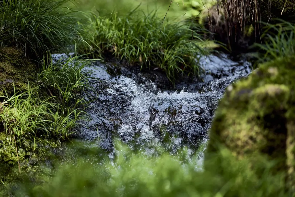石川県小松市・大杉町に宿泊施設【YADO SEN－仙－KOMATSU】が誕生。築180年の登録有形文化財「下里 Kudari」と築150年の古民家「前家 Maeie」、新たな運営体制で7月1日オープン 画像 10