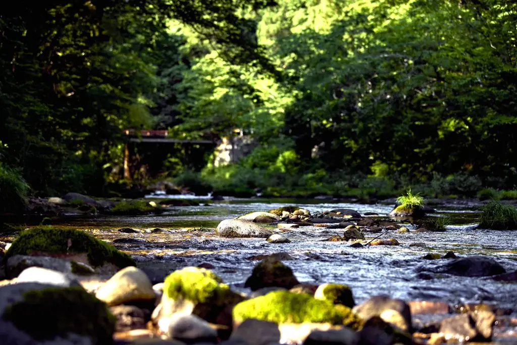 石川県小松市・大杉町に宿泊施設【YADO SEN－仙－KOMATSU】が誕生。築180年の登録有形文化財「下里 Kudari」と築150年の古民家「前家 Maeie」、新たな運営体制で7月1日オープン 画像 7