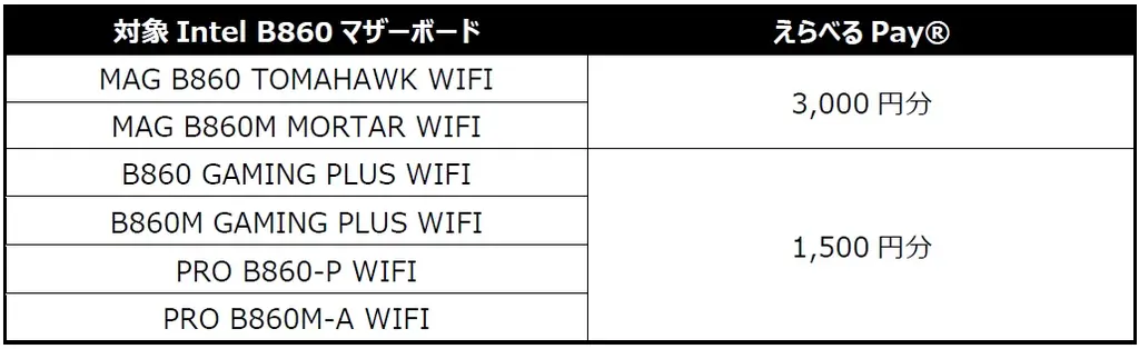 「MSIクオリティでビルドる！キャンペーン」を開催　MSI 最新カスタムPCパーツ製品を購入して、最大15,000円分のえらべるPay®をゲットしよう！ 画像 3