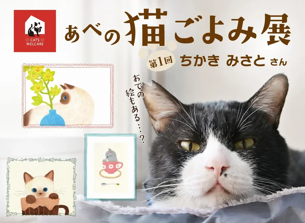 【あべの 猫ごよみ展】大阪市阿倍野区の保護猫施設「ホーリーハウス」にて月替わりで猫作家展を開催。落ち着いた古民家で、猫と美食に癒され、個性あふれる猫作品と出会えるー。ご来場が保護猫の支援に繋がります。 画像 1