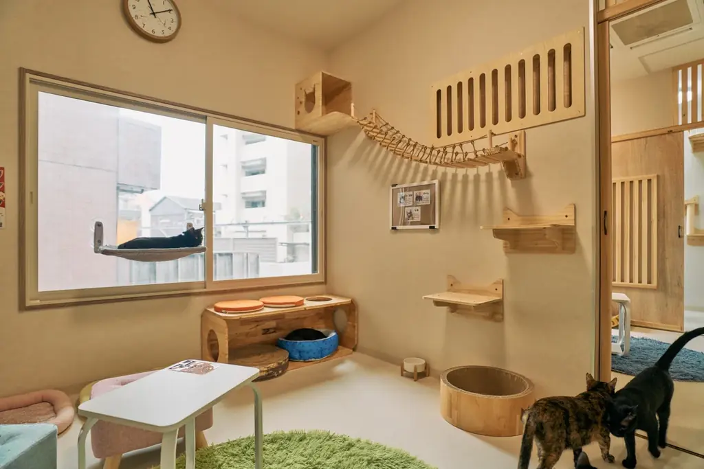 【あべの 猫ごよみ展】大阪市阿倍野区の保護猫施設「ホーリーハウス」にて月替わりで猫作家展を開催。落ち着いた古民家で、猫と美食に癒され、個性あふれる猫作品と出会えるー。ご来場が保護猫の支援に繋がります。 画像 7