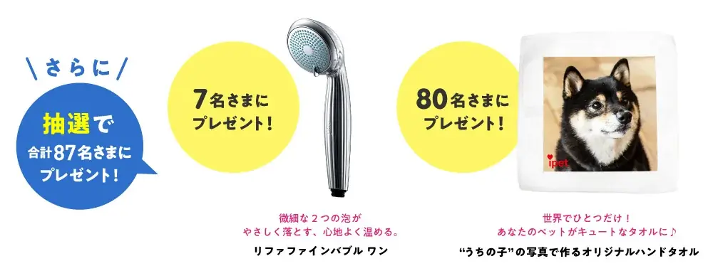 「みんなでわんにゃんハッピー！新規お申込みキャンペーン」開始！ 画像 3