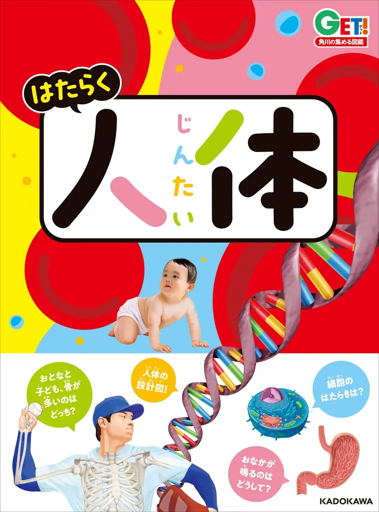 【特別な体験があたるキャンペーン開催】角川の集める図鑑ＧＥＴ！5周年フェア、2025年7月1日（火）より開催！ 画像 7
