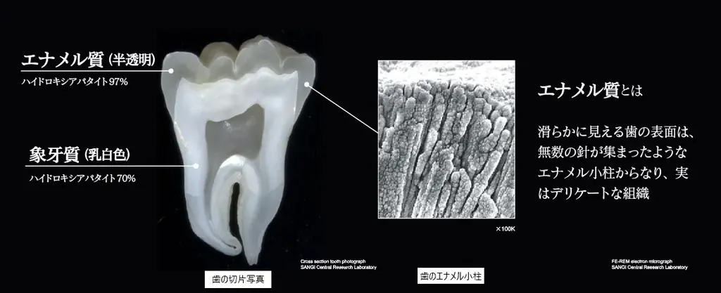 【150組300名様をご招待！】 東京ドームシティ宇宙体感施設「Space Travelium TeNQ」のチケットをプレゼント！ 画像 6