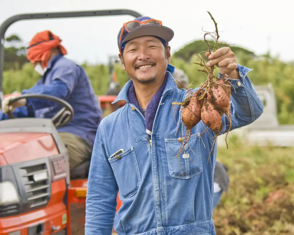 ねっとりあま~い安納芋、ふるさと納税で先行予約開始! ご当地の鹿児島県中種子町 画像 4