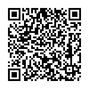 ペット保険のアニコムグループ、どうぶつたちと皆様に支えられて創業25周年 画像 6