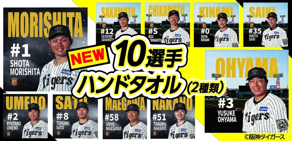 阪神タイガース 新イベント「TIGERS B-LUCK DYNAMITE SERIES」の協賛スポンサー【株式会社アンバリッド】ペア観戦チケットやオリジナルジャージが当たるプレゼントキャンペーン 画像 7