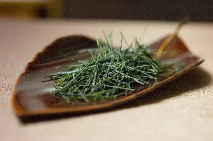 狭山茶が大阪・関西万博に登場！入間市が他4市共同で「LOCAL　JAPAN展」に出展 画像 5