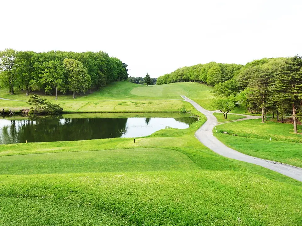 ゴルファーのための“エナジー黒にんにく”『ドラコン黒にんにく』発売 画像 5