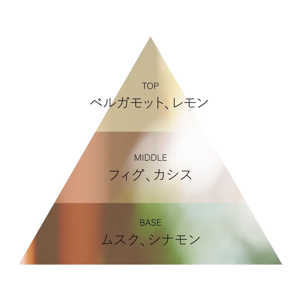 OSAJI(オサジ)×日本橋兜町 人気パティスリー「ease(イーズ)」が贈る、香り豊かなイチジクのコラボレーションアイテムが2025年7月23日(水)より数量限定発売。 画像 3