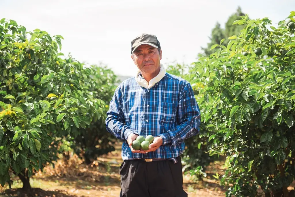 初夏にぴったりの爽やかさ。大人気の「ピンクグレープフルーツ コレクション」がサスティナブルにバージョンアップして帰ってきます！ 画像 3