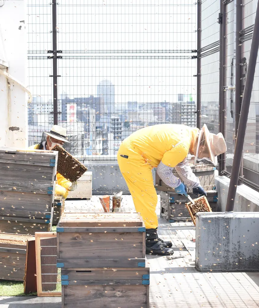 【ラベイユ】8月3日”はちみつの日”を記念！「東京　麻布のはちみつ」コラボレーション、麻布台ヒルズにて8月2日（土）スタート 画像 24