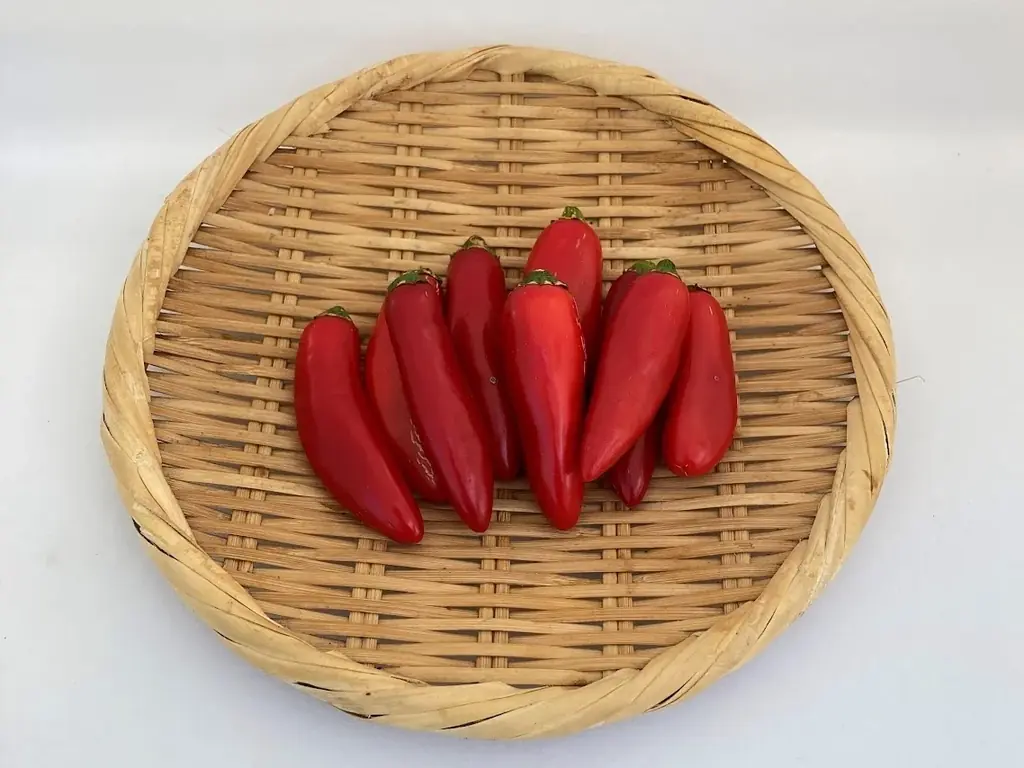 JR大宮駅「エキュート大宮」埼玉県産とうがらし9種を使用した夏の旨辛グルメ集結!!全て新作！エキュート大宮限定の12商品が登場！「十色の刺激」初開催!! 画像 3