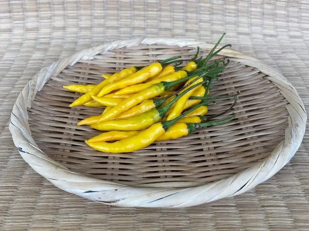 JR大宮駅「エキュート大宮」埼玉県産とうがらし9種を使用した夏の旨辛グルメ集結!!全て新作！エキュート大宮限定の12商品が登場！「十色の刺激」初開催!! 画像 5