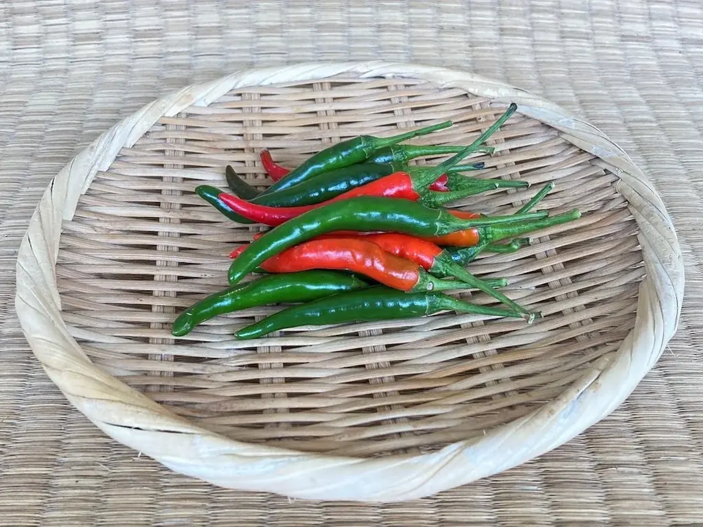 JR大宮駅「エキュート大宮」埼玉県産とうがらし9種を使用した夏の旨辛グルメ集結!!全て新作！エキュート大宮限定の12商品が登場！「十色の刺激」初開催!! 画像 8