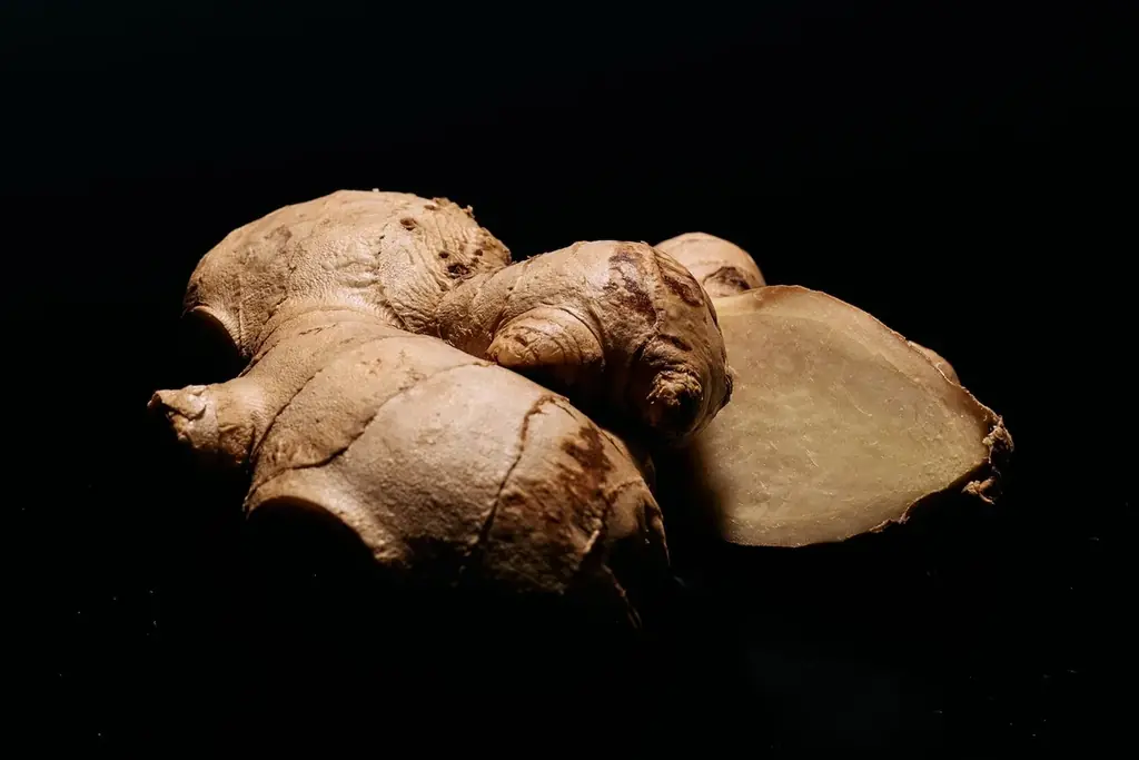 “熟成する炭酸”──缶の中で進化するクラフトジンジャーエール誕生 画像 3